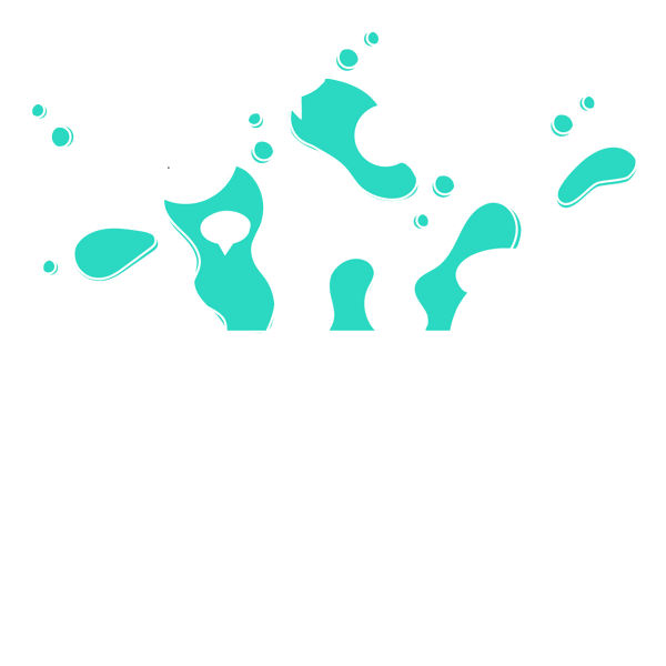 N+N illustrations v1.3 - final-01