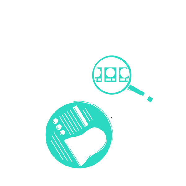 N+N illustrations v1.3 - final-02